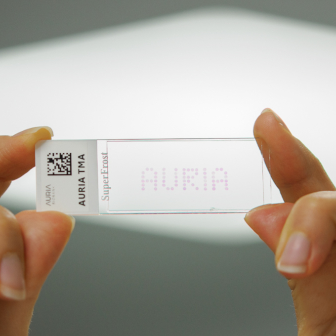 Tma-lasia pidetään valoa vasten sormien välissä.